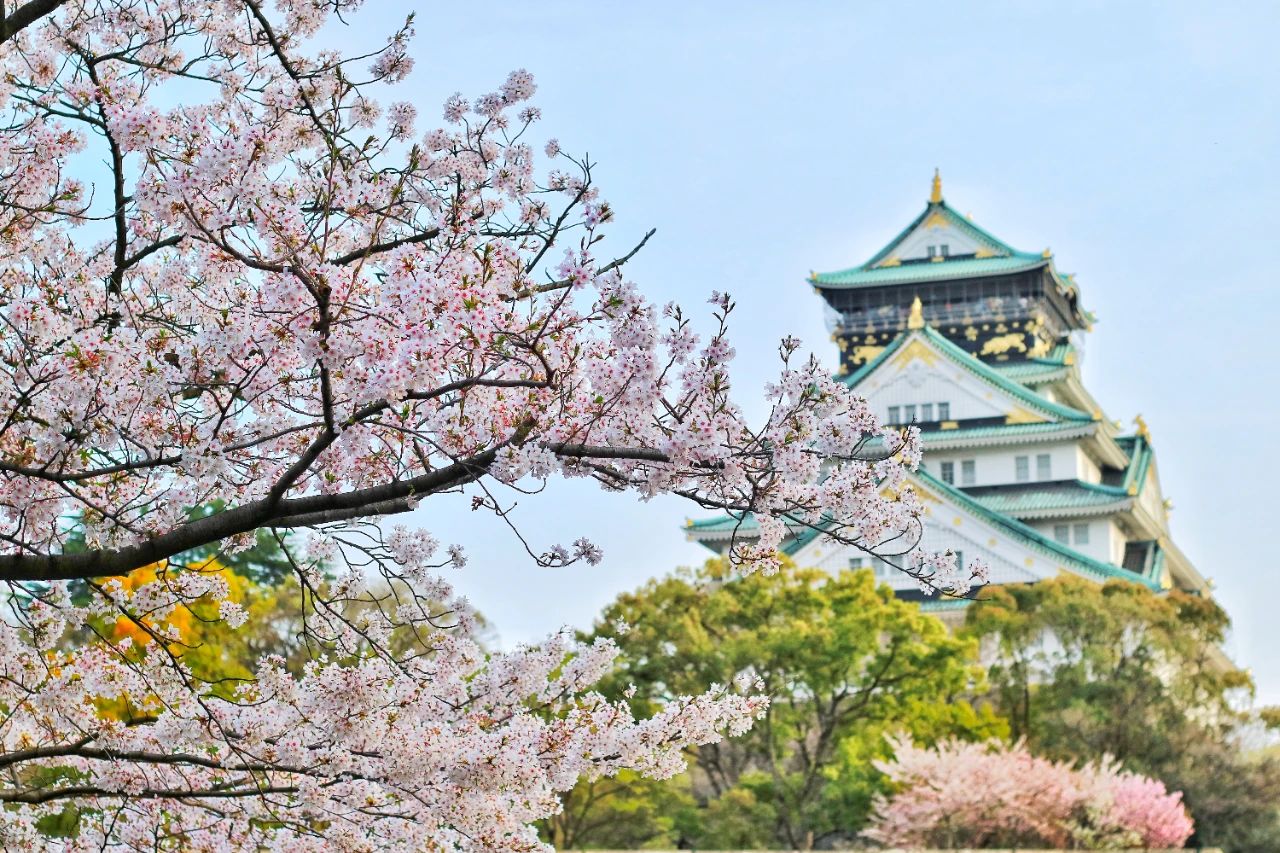 出国留学 日本留学