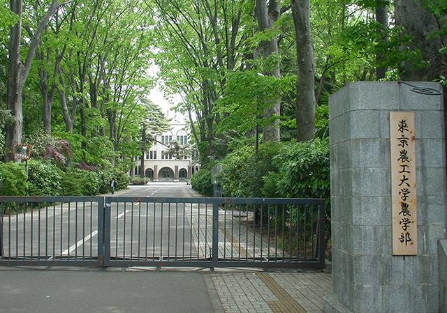 日本留学 出国留学