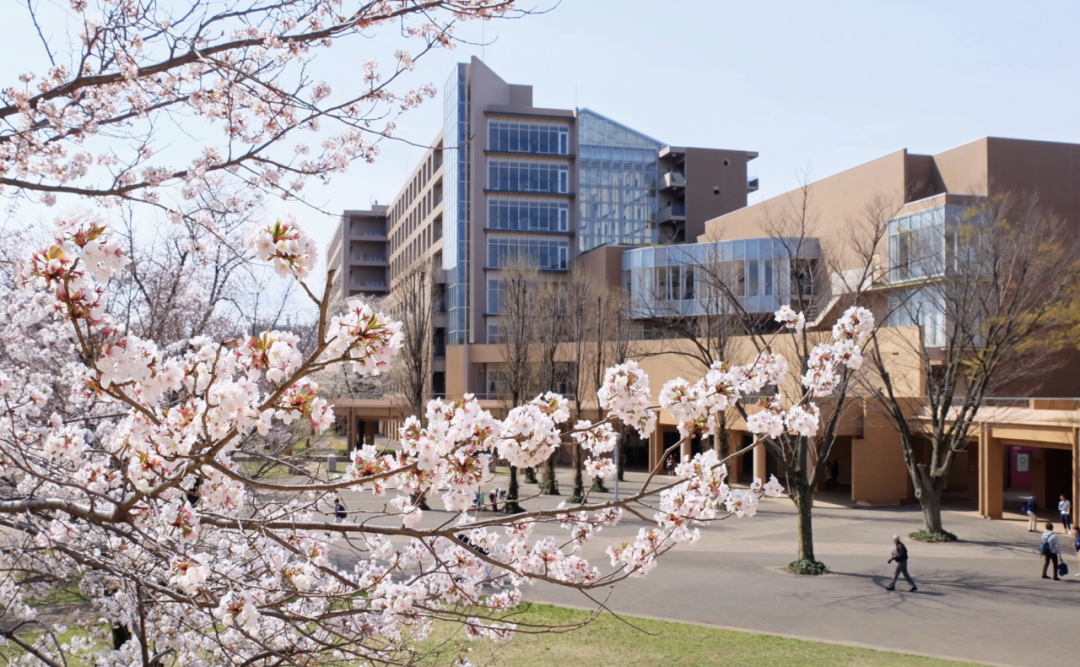 日本留学