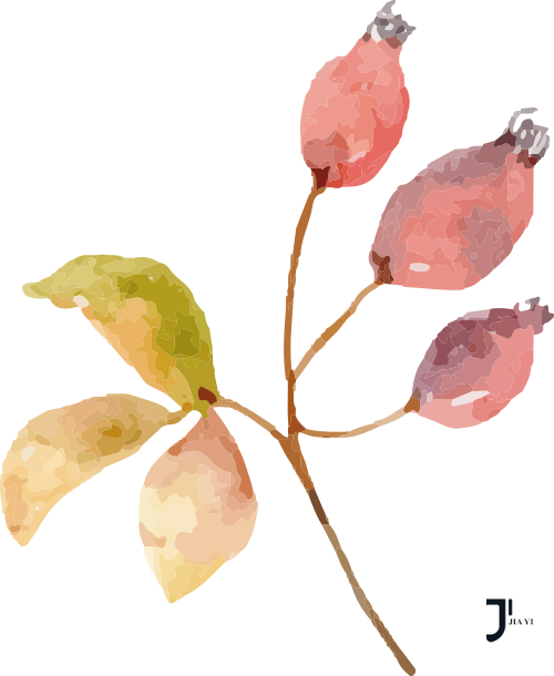 8.png