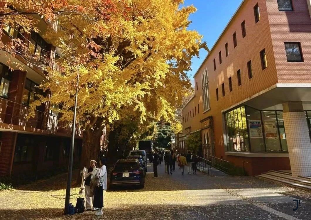 揭秘赴日本留学后在日本不愁就业的专业!超有前途!