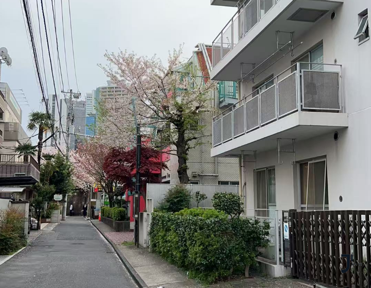 日本留学咨询|从选房到拿钥匙，日本留学生租房流程全解锁！25年7月生专属！